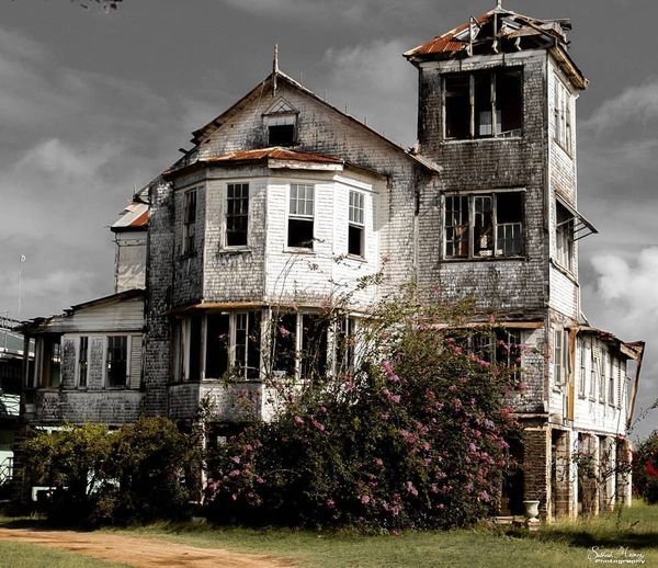 Hicken's Family House with 100 windows